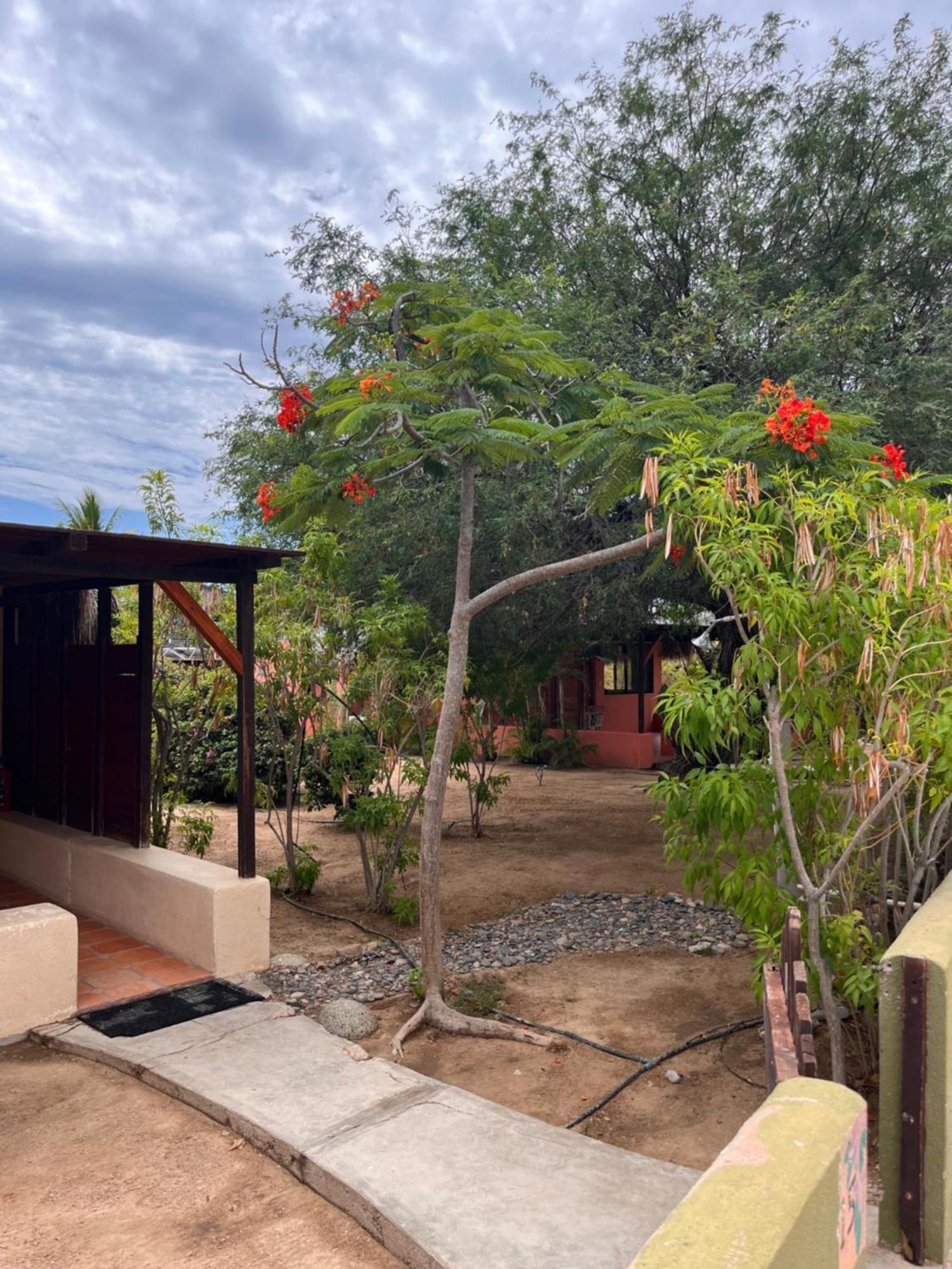 Cabo Pulmo Beach Resort Extérieur photo